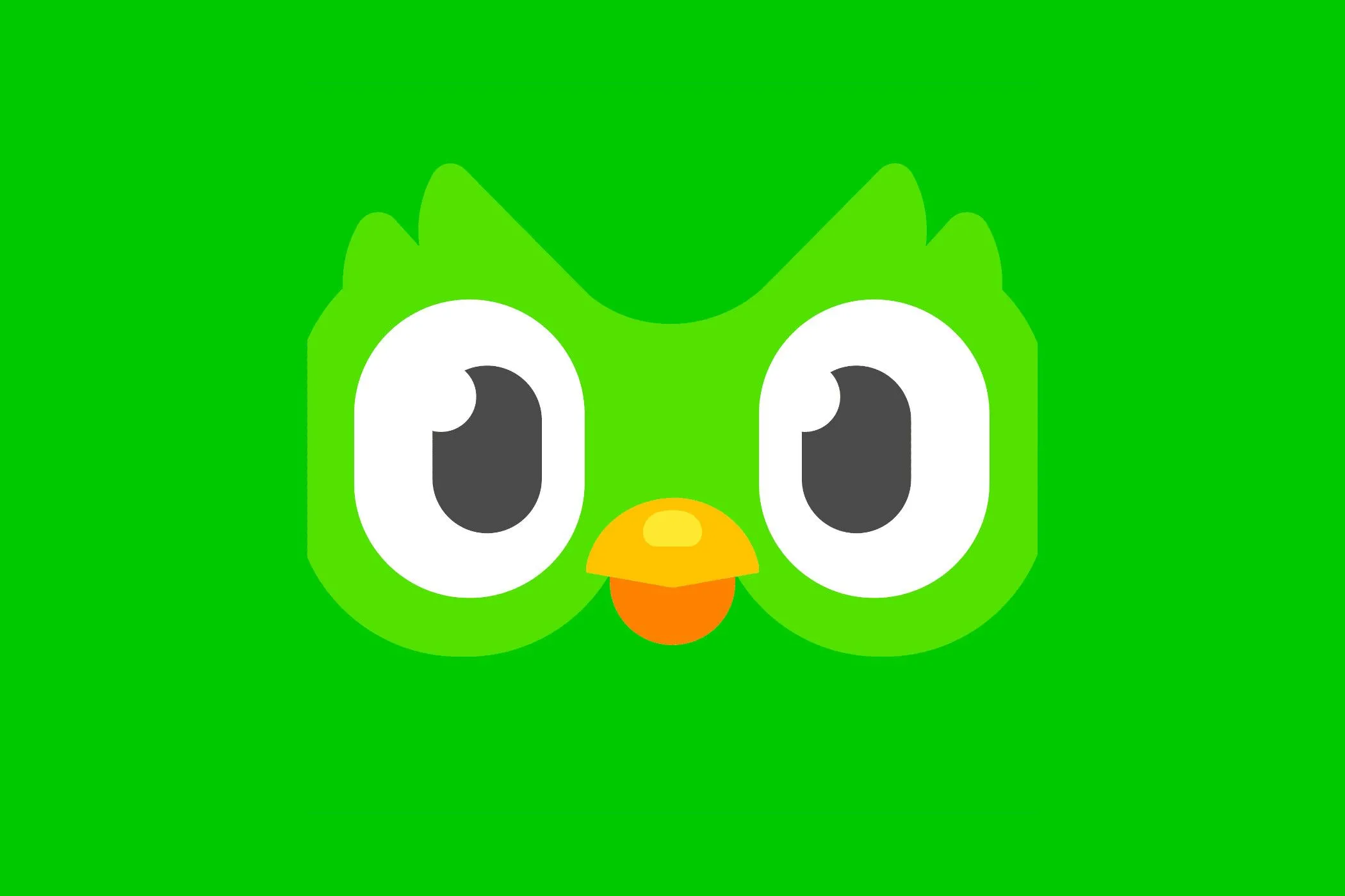 Biểu tượng ứng dụng Duolingo màu xanh lá với hình con cú và cờ các ngôn ngữ