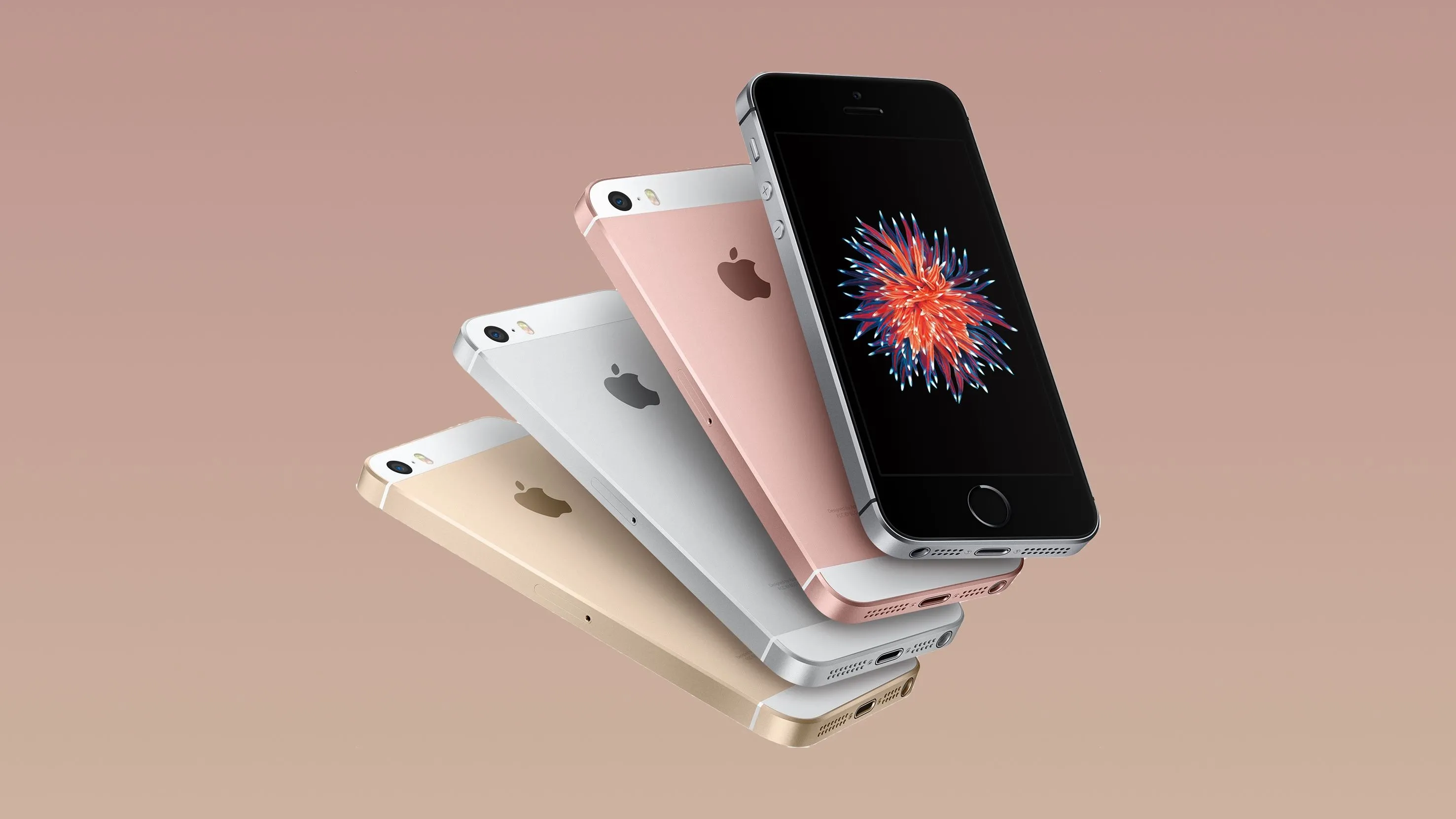 Bốn chiếc iPhone SE thế hệ đầu tiên (năm 2016) được xếp quạt, trưng bày các tùy chọn màu sắc khác nhau, thể hiện thiết kế nhỏ gọn