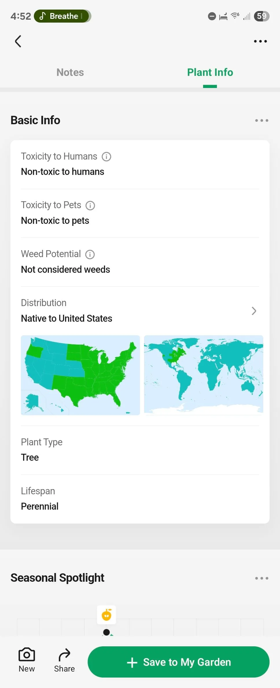 Giao diện ứng dụng PictureThis trên Android hiển thị thông tin cơ bản về một loài cây, cung cấp cái nhìn tổng quan về thực vật bản địa.