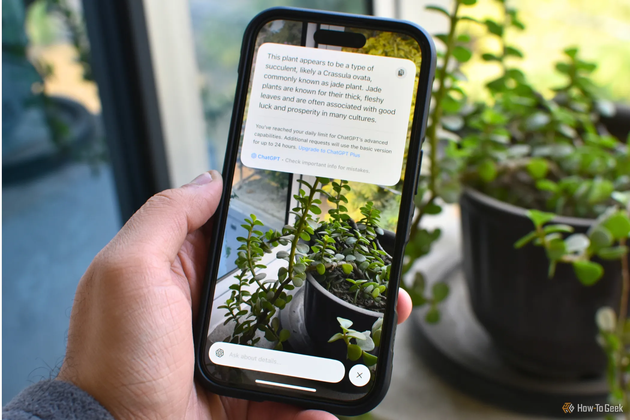 iPhone 16 hiển thị tính năng Visual Intelligence của Apple Intelligence trên iOS 18.2.