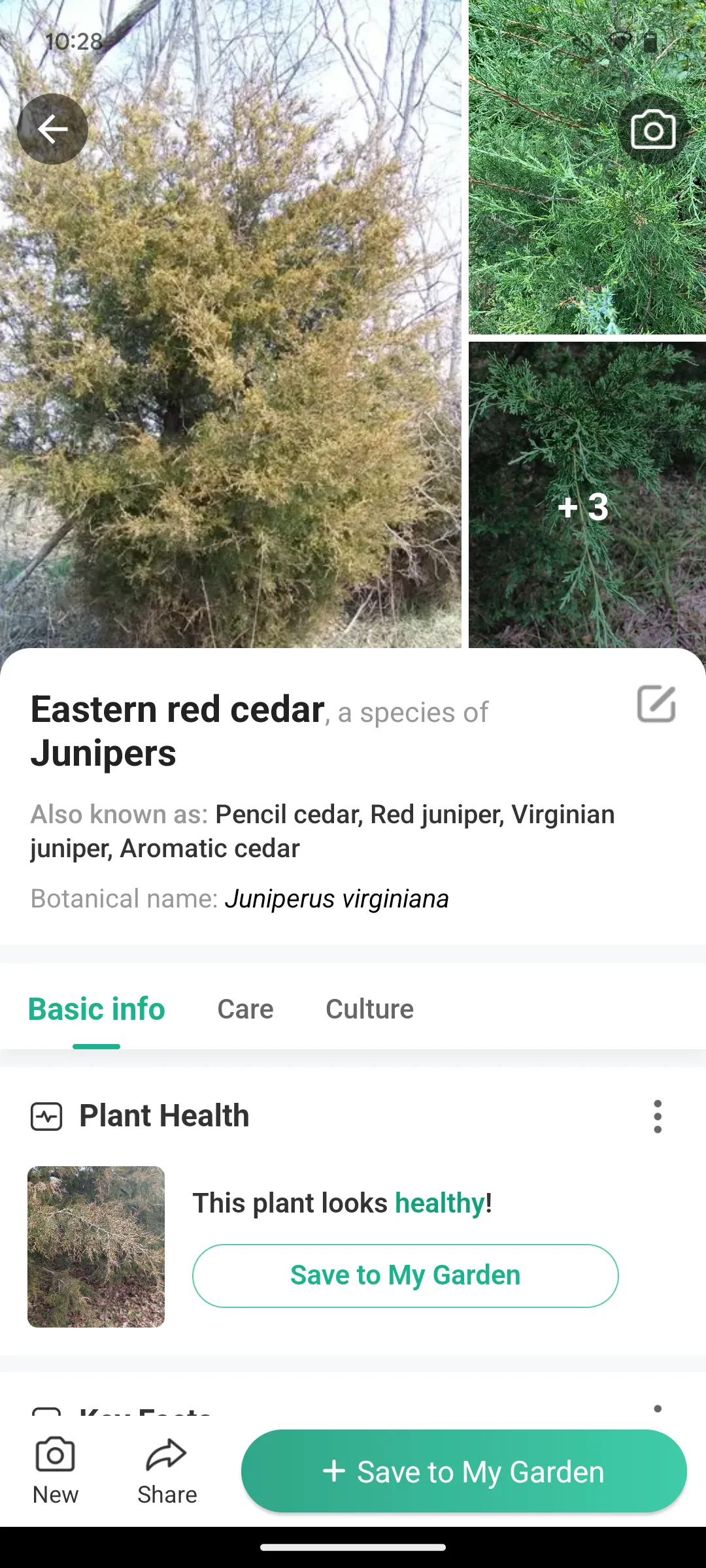 Image default