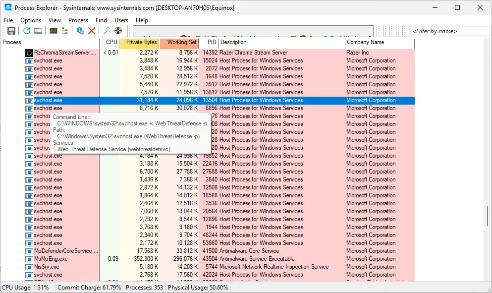 Thông tin chi tiết về tiến trình svchost.exe trong Process Explorer