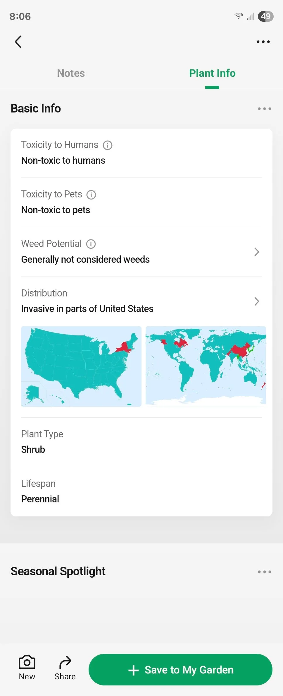 Thông tin cơ bản về loài hoa hồng đa thân (Multiflora rose) trong ứng dụng PictureThis trên Android, giúp người dùng nhận biết cây xâm lấn.