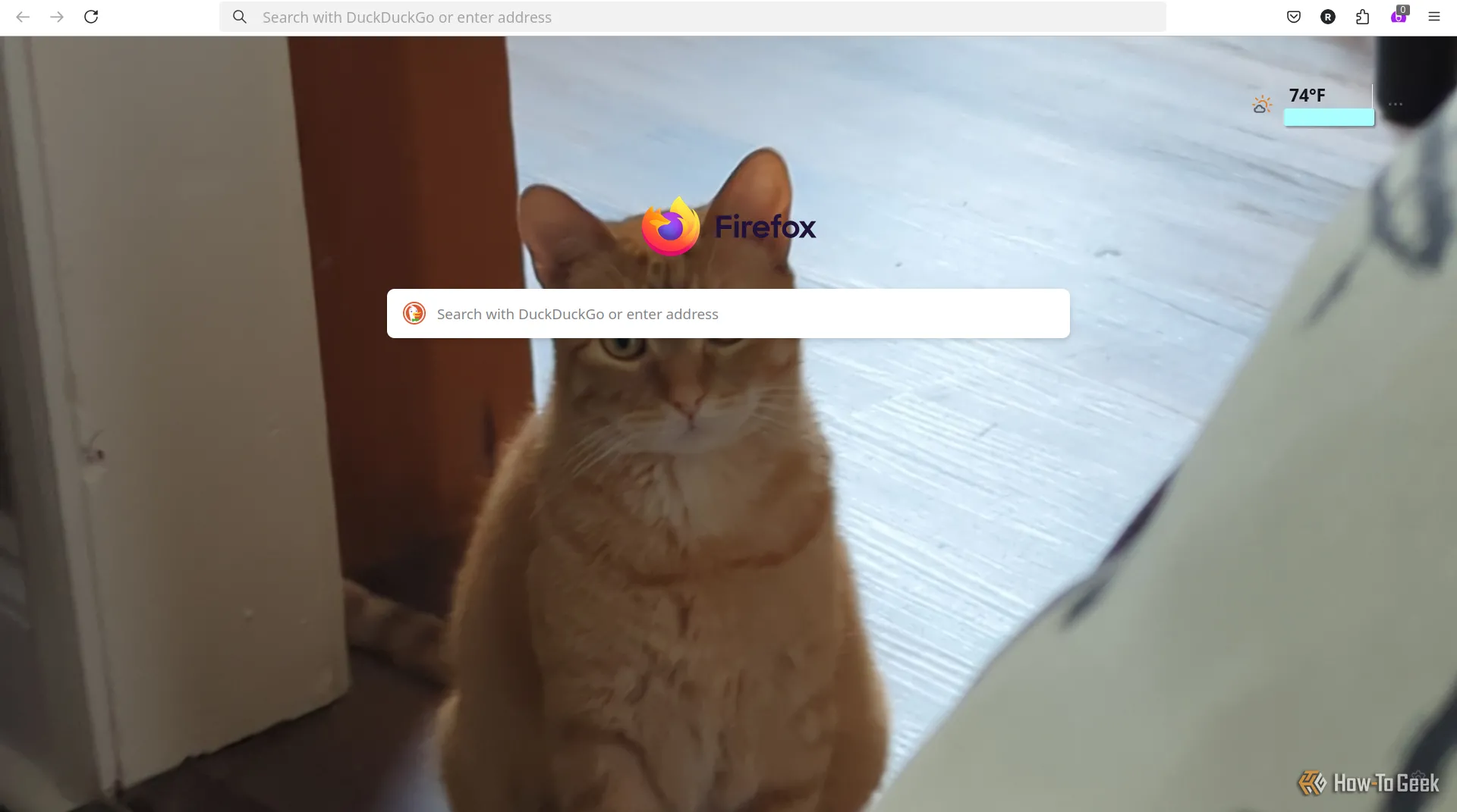 Trang chủ Firefox với hình ảnh mèo được đặt làm hình nền.