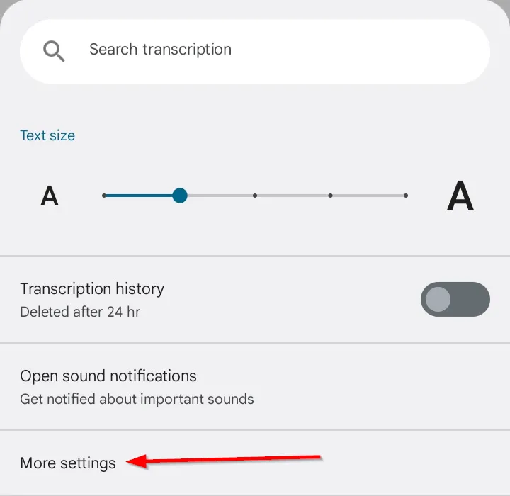 Tùy chọn Cài đặt khác trong cửa sổ Live Transcribe để điều chỉnh cài đặt nâng cao