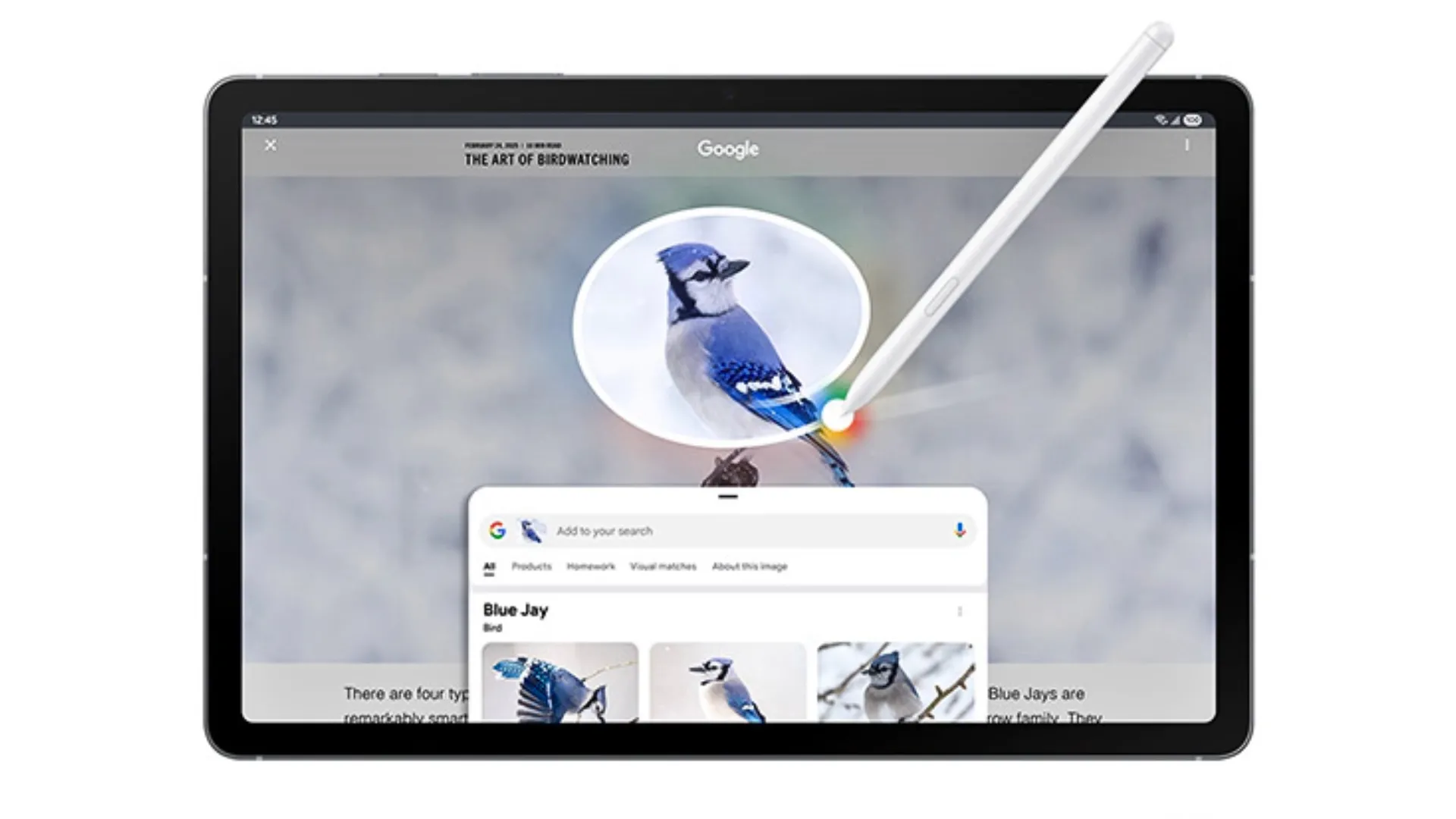 Ảnh chụp màn hình tính năng Khoanh vùng tìm kiếm trên One UI 7.0 của Galaxy Tab S10 FE
