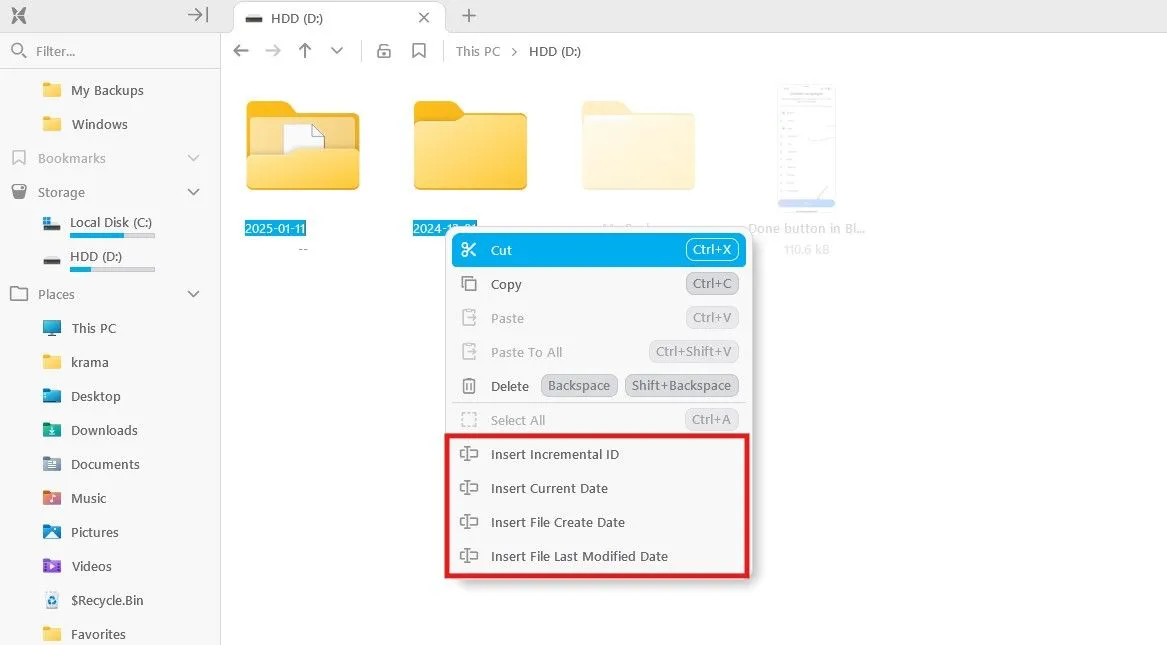 Các tùy chọn đổi tên trong menu ngữ cảnh của File Pilot.