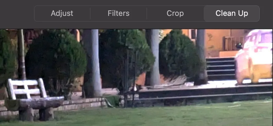 Công cụ Clean Up trong Photos app làm nổi bật vật thể có thể xóa khỏi ảnh