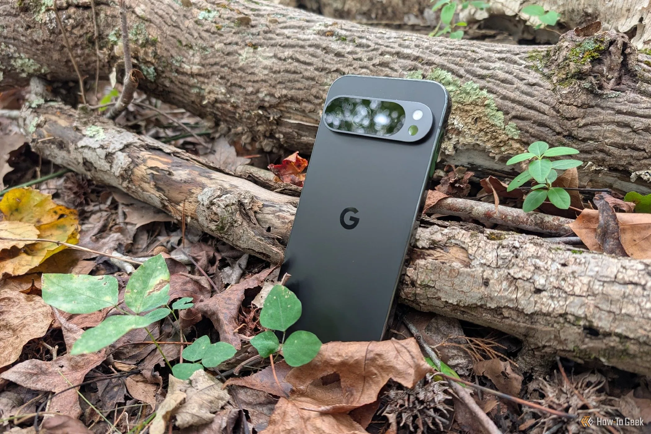 Điện thoại Google Pixel 9 Pro XL màu xanh lá nổi bật giữa lá cây khô