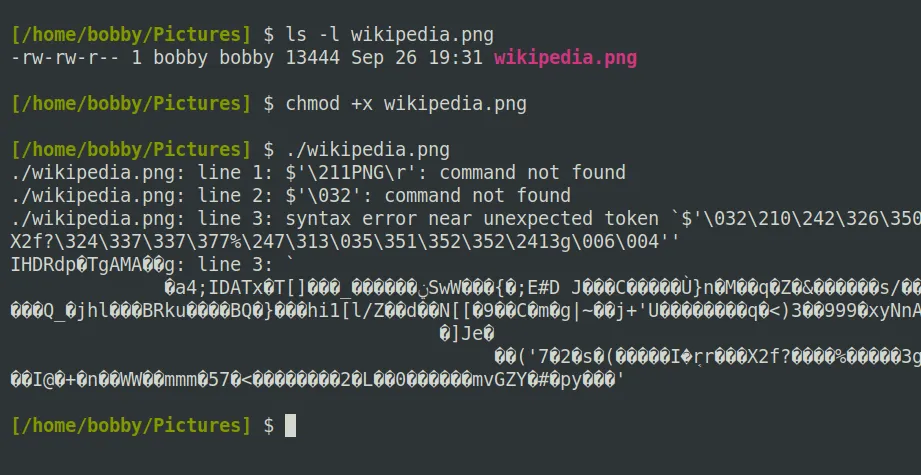 Giao diện terminal Linux hiển thị các ký tự lạ và thông báo lỗi khi thực thi tệp ảnh đã được cấp quyền, minh chứng bit thực thi không thay đổi loại tệp.