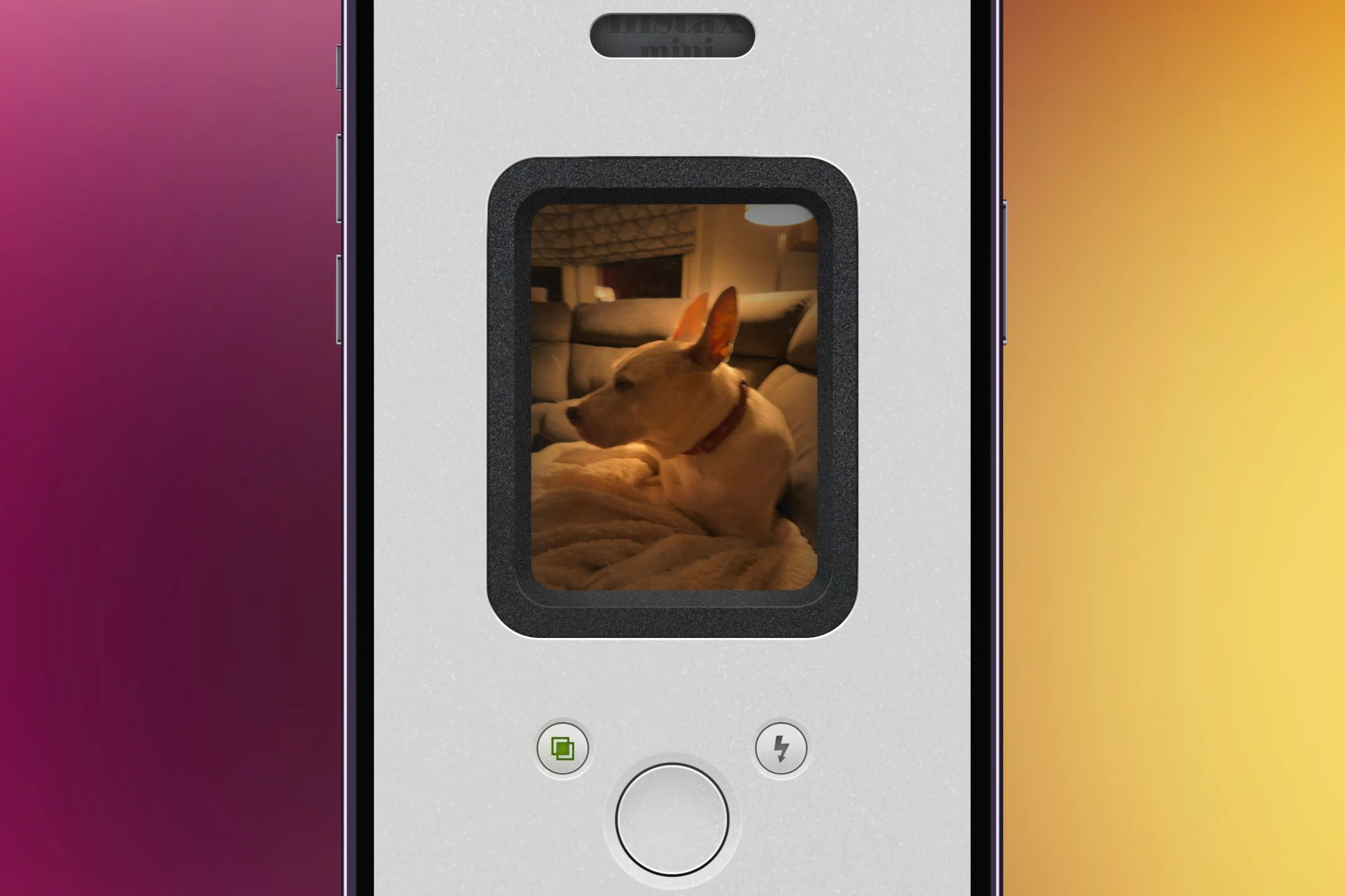 Giao diện ứng dụng NOMO Cam trên iPhone hiển thị ảnh chú chó với hiệu ứng Polaroid hoài cổ và nền màu sắc.
