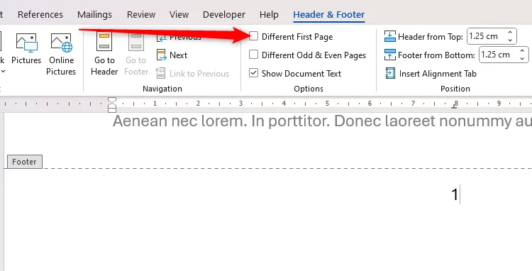 Hộp kiểm Different First Page trong Word, cho phép trang đầu tiên có định dạng header/footer khác biệt.