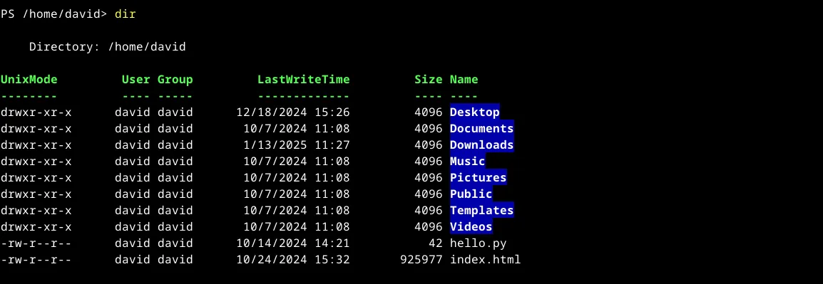 Kết quả hiển thị từ lệnh 'dir' trong PowerShell trên Linux, cho thấy thông tin chi tiết về tệp và thư mục tương tự 'ls -l'.