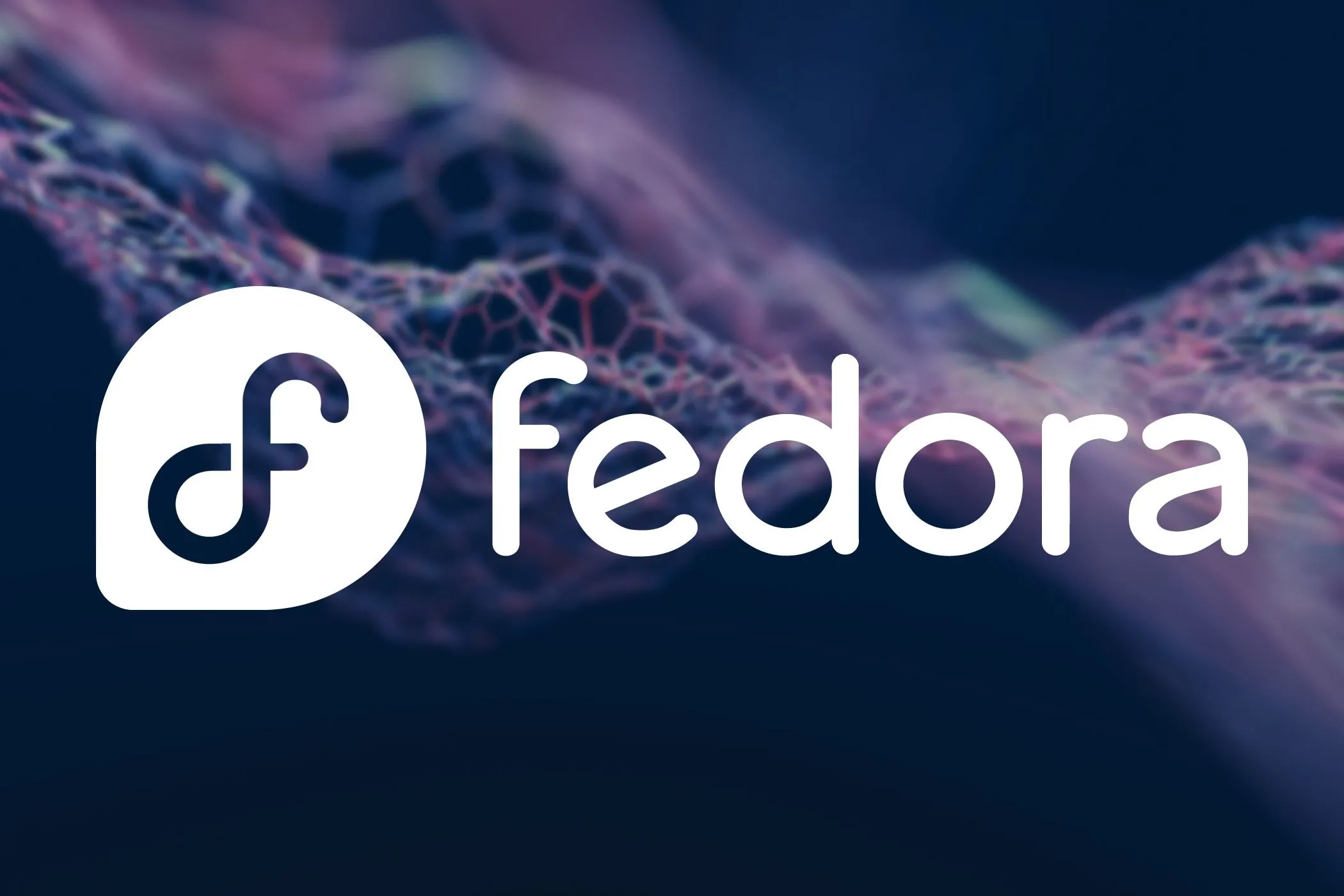 Màn hình máy tính xách tay hiển thị logo Fedora Linux màu xanh tím, biểu trưng cho bản cập nhật Fedora 42 Beta.