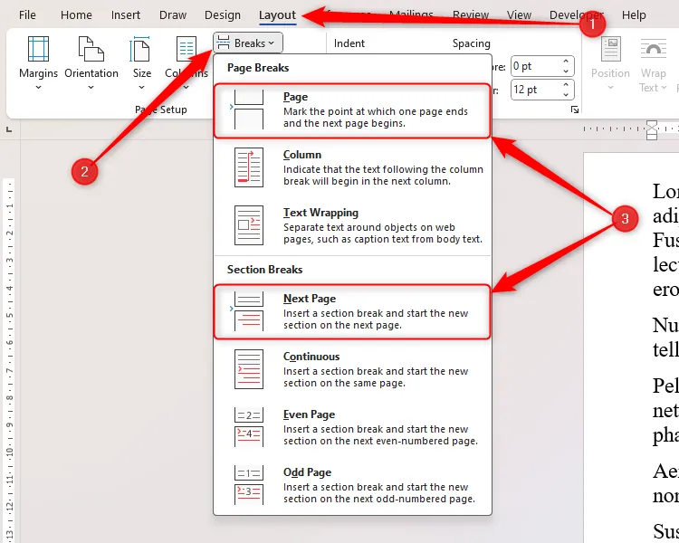 Menu Breaks trong Microsoft Word hiển thị tùy chọn Page Break và Next Page Section Break để ngắt trang tài liệu.