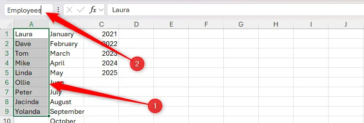 Một vùng ô chứa danh sách tên nhân viên được chọn trong Excel và đang được đặt tên là Employees thông qua Name Box, giúp dễ dàng tham chiếu trong công thức.