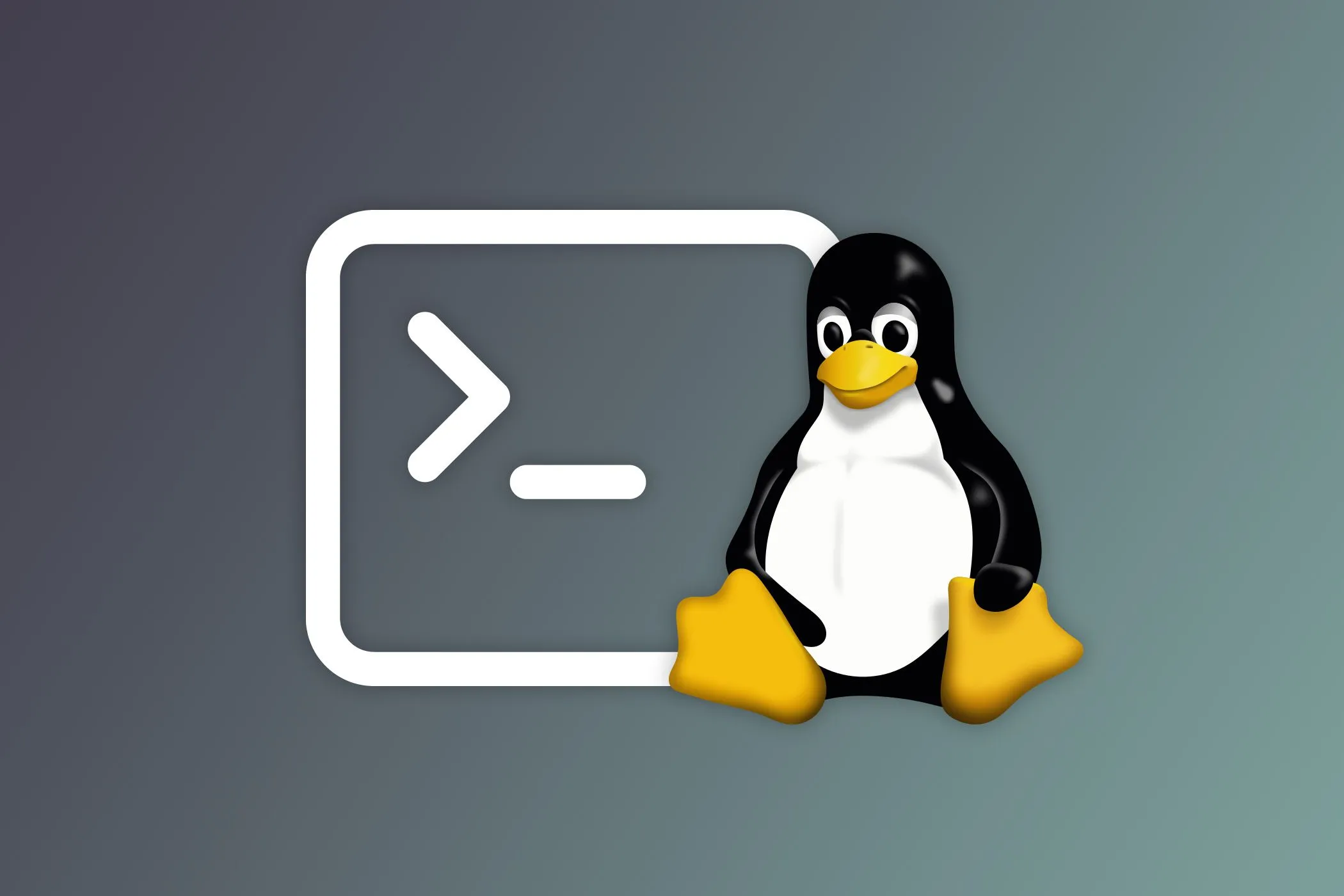 Người dùng đang nhập lệnh trên cửa sổ terminal của Linux, thể hiện sự tương tác với hệ điều hành thông qua dòng lệnh.