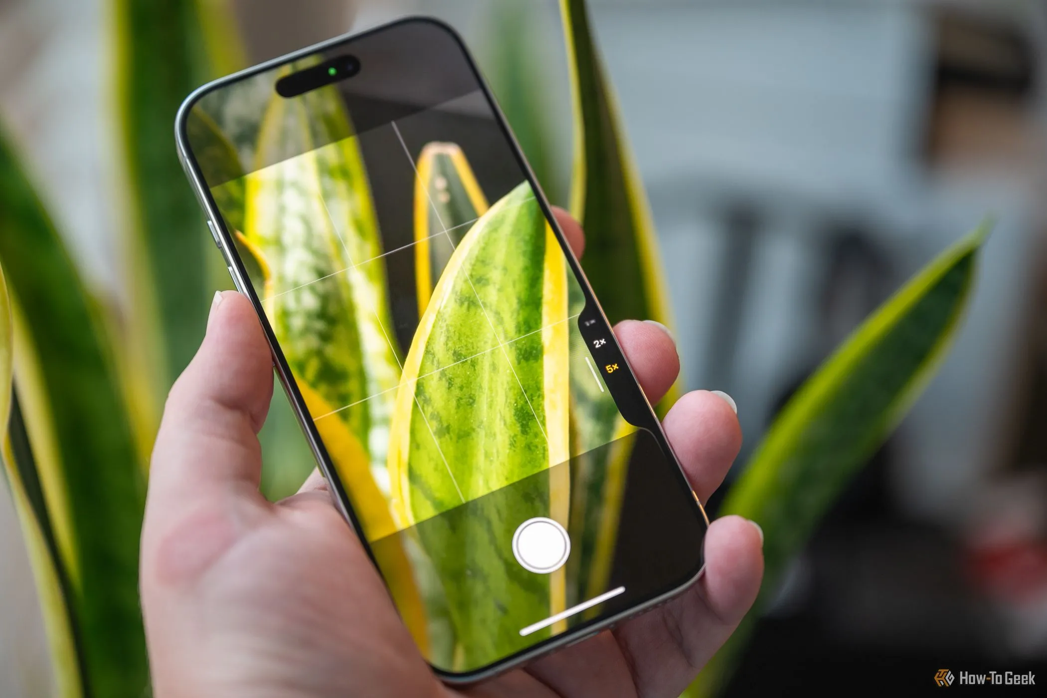 Người dùng đang thao tác chụp ảnh trên iPhone 16 Pro bằng nút Camera Control ở chế độ dọc, thể hiện cách sử dụng tiện lợi khi chụp nhanh.