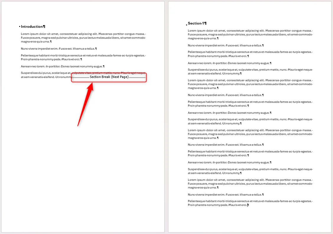Tài liệu Microsoft Word hiển thị hai Section riêng biệt được phân tách bằng Next Page Section Break.