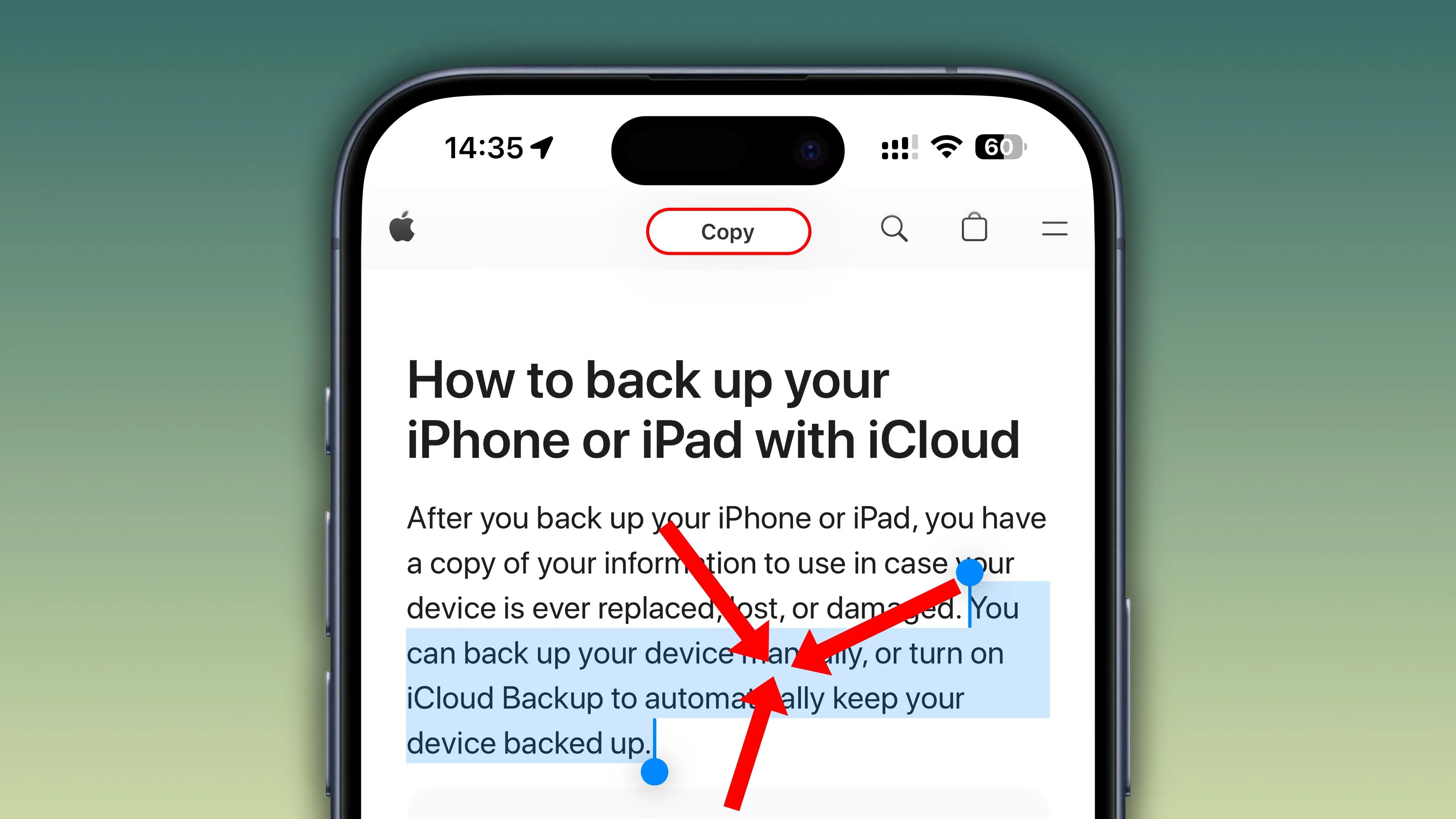 Trang Safari trên iPhone với đoạn văn bản được chọn và biểu ngữ Sao chép, minh họa cử chỉ chụm ba ngón tay