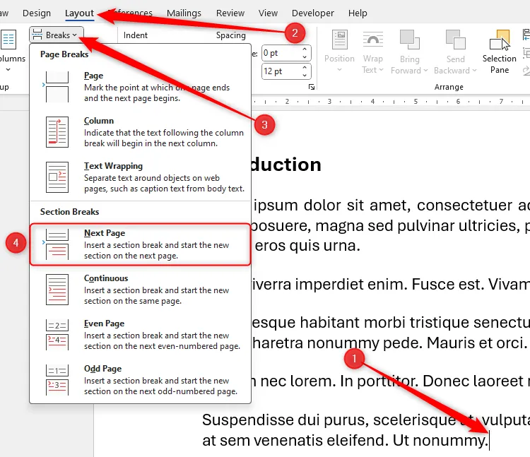 Tùy chọn Next Page Section Break trong menu Breaks của Word, dùng để tạo ngắt đoạn và bắt đầu trang mới.