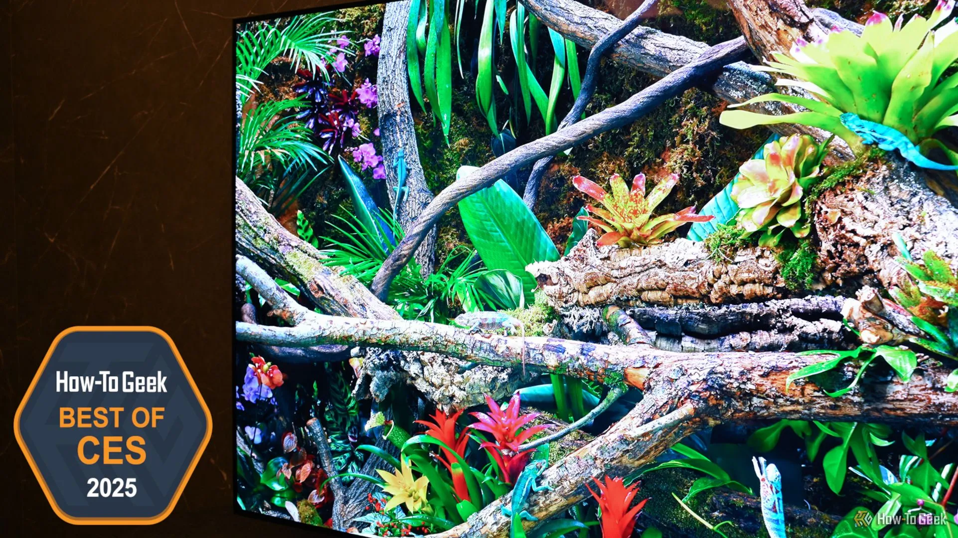 TV Samsung OLED S95F trưng bày tại khu vực triển lãm CES 2025.