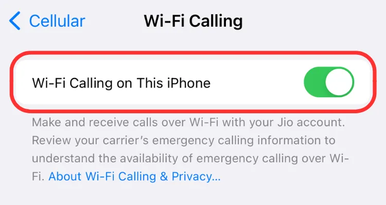 Màn hình cài đặt bật/tắt tính năng Cuộc gọi Wi-Fi trên iPhone, cho phép sử dụng dễ dàng với số điện thoại hiện có