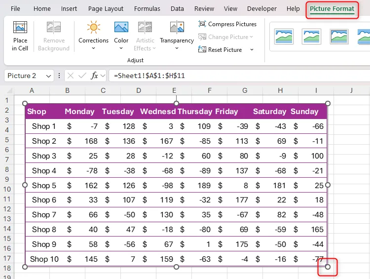 Một tập dữ liệu trong Excel đã được sao chép và dán dưới dạng hình ảnh động bằng công cụ Camera, với tay cầm thay đổi kích thước và tab Picture Format được làm nổi bật để chỉnh sửa.