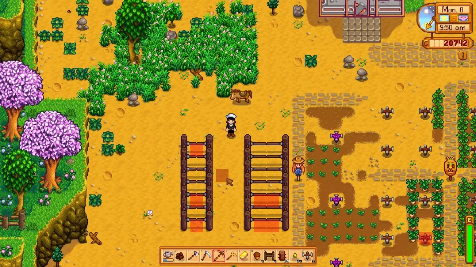 Người chơi đứng trước hàng rào và cổng tự động trên trang trại của mình trong Stardew Valley
