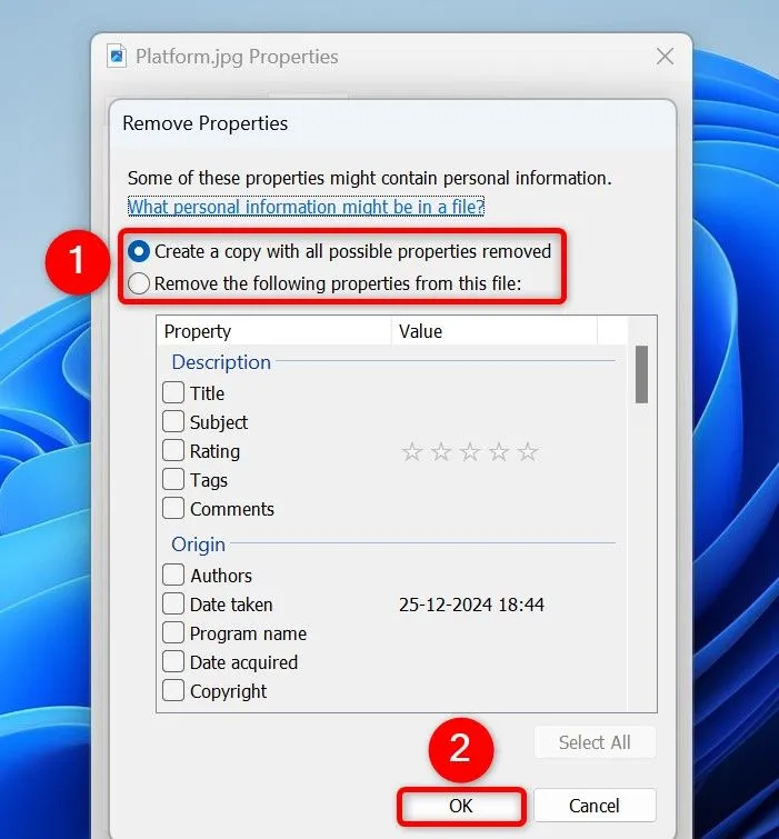 Các tùy chọn để xóa tất cả hoặc chọn lọc dữ liệu EXIF khỏi ảnh trên Windows 11.