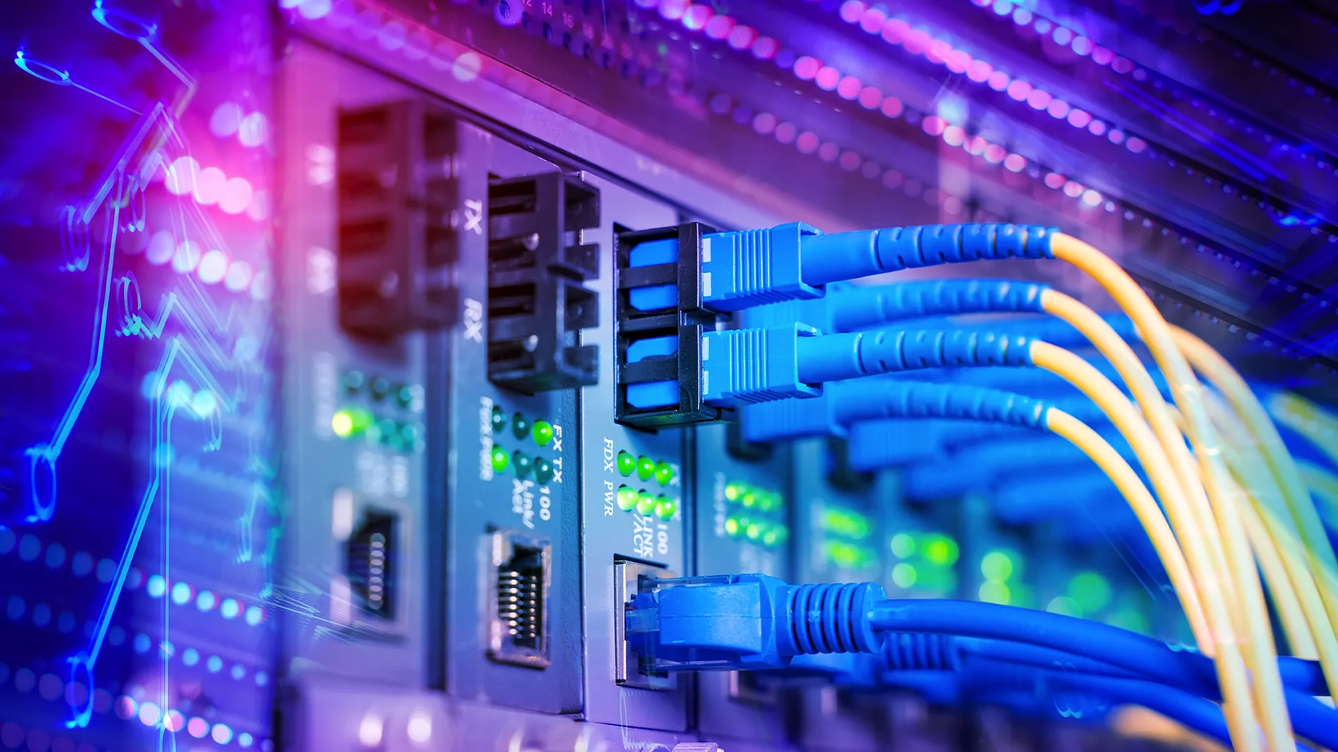 Cáp quang kết nối với máy chủ, minh họa cho nhu cầu băng thông mạng 10Gb Ethernet trong các hệ thống chuyên nghiệp như homelab.