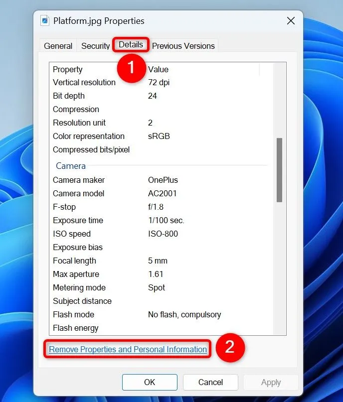 Nhấp vào &quot;Remove Properties and Personal Information&quot; trong tab &quot;Details&quot; của cửa sổ Properties ảnh.