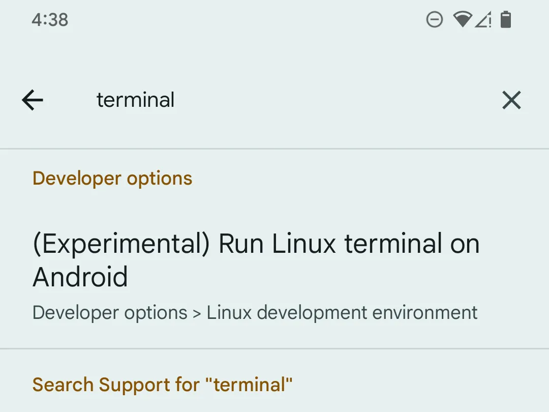 Tìm kiếm 'terminal' trong tùy chọn nhà phát triển Android trên điện thoại Pixel